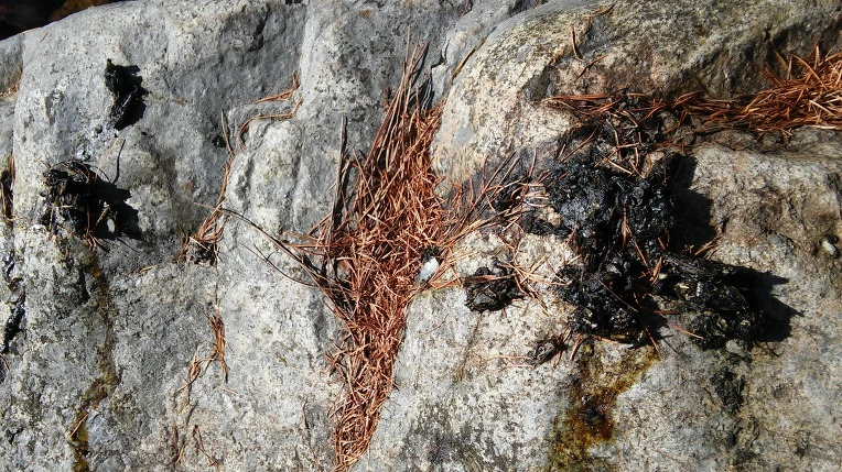 9916F3335A0D1C8820664B