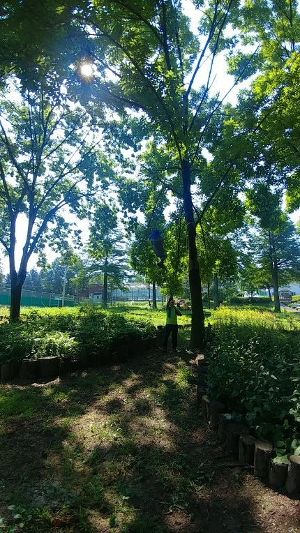 9998E9385B57BCDA16C44B