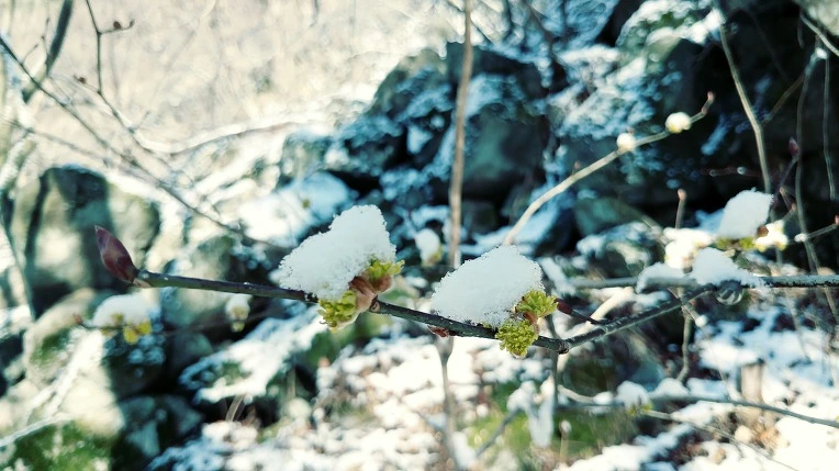 991342405EBE1C6F222769