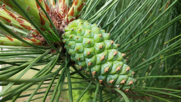 22480B3C5747BA6303700E