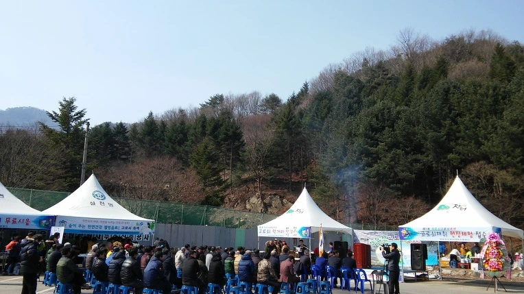 2706E73B56E4ED0B056674