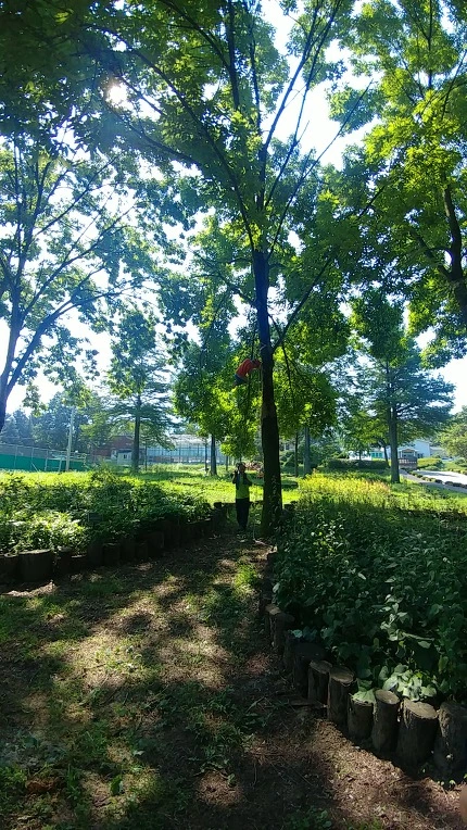 99C124385B57BCD5149DCB