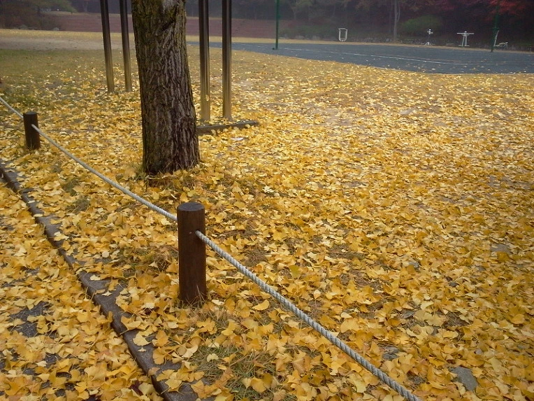 275C5E395424173A10FCA4