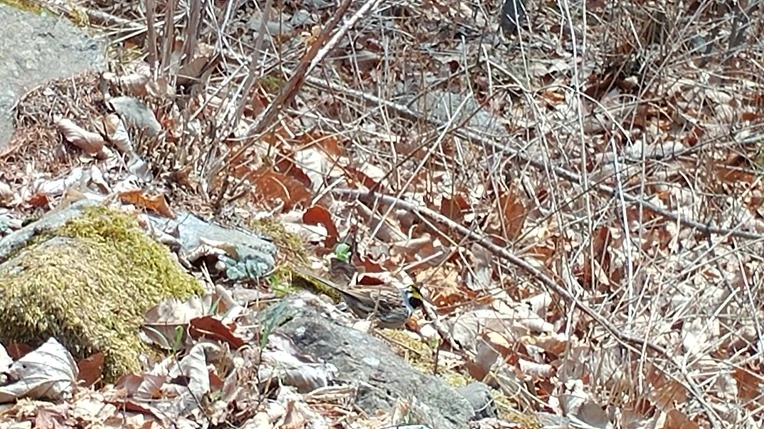 9943DE485AC8A2232FC7D9