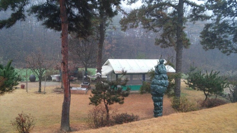 243AF543582F880622FCC4