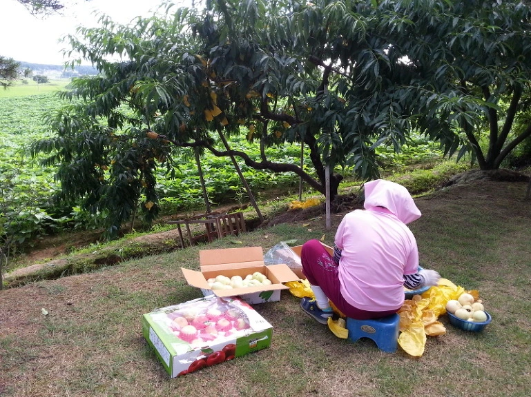 23383D4B53DC506A24CAD7