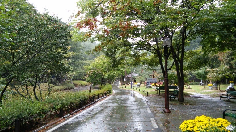 2213C334560D7F0F1D75B0