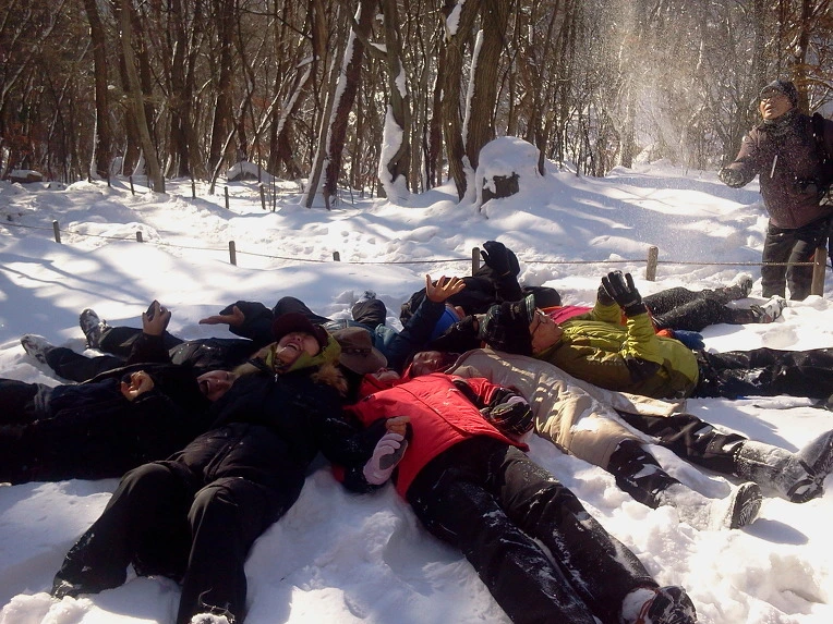 246BEA3C54B5CA8A031013