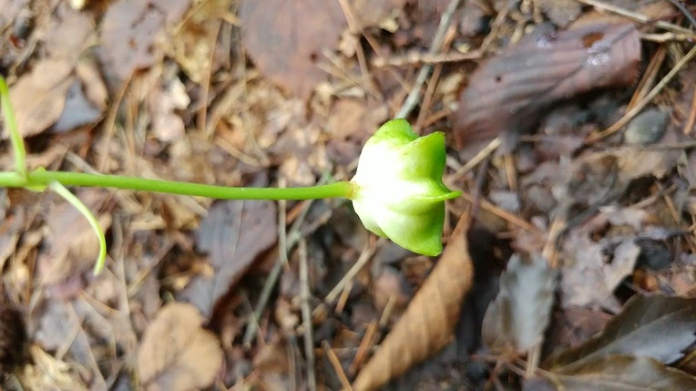 9906703D5DBE6ADE3699F3