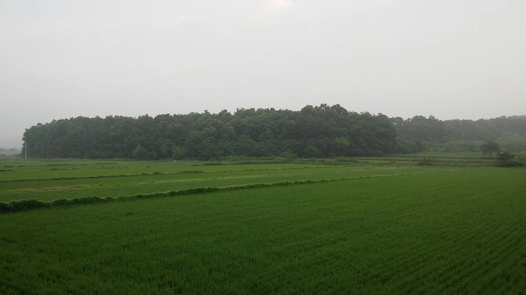 242E58445765F5182595E1