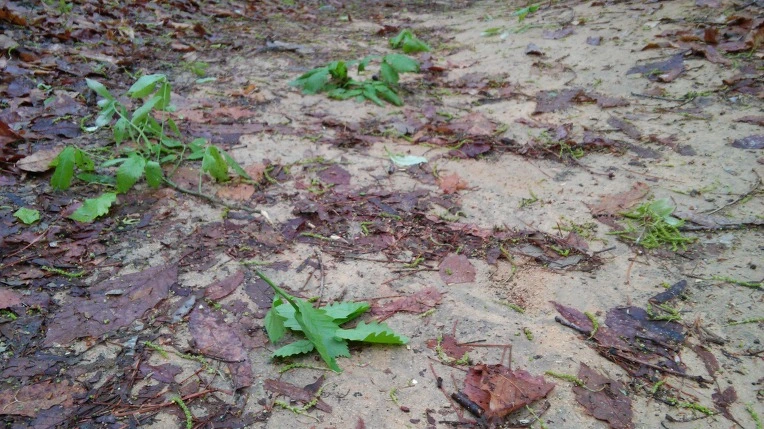 2303194A5712CDB9015953