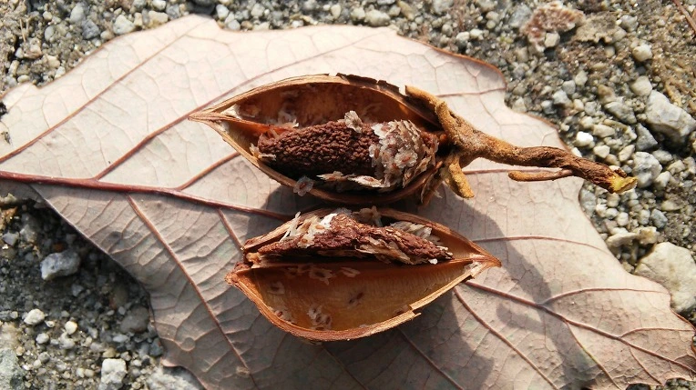 262BE13D569F2AB514B617