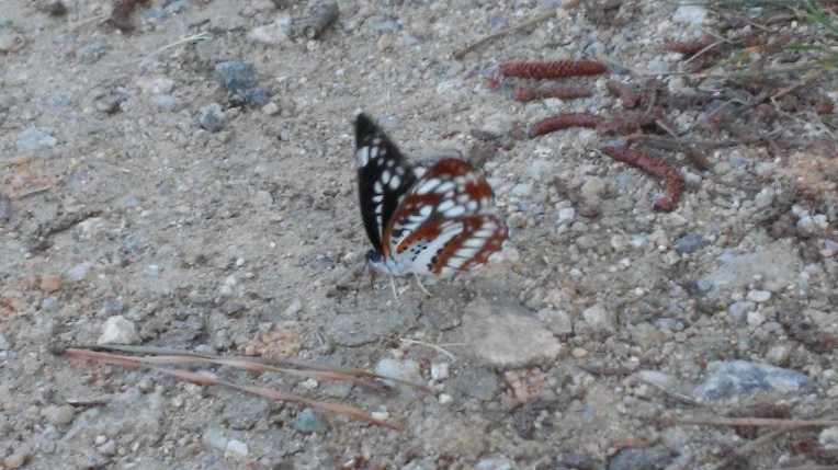 2259B34057B90F9A30ABEE