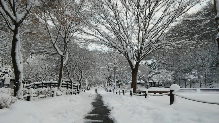 223185465660CFCB1D878B