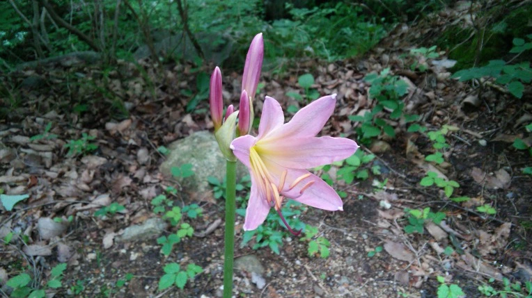 99F315335984F67E161411