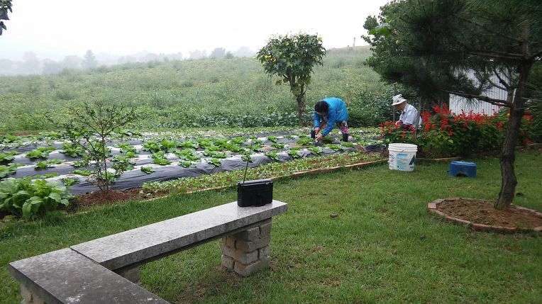 25146A5057D21A5B12ECC3