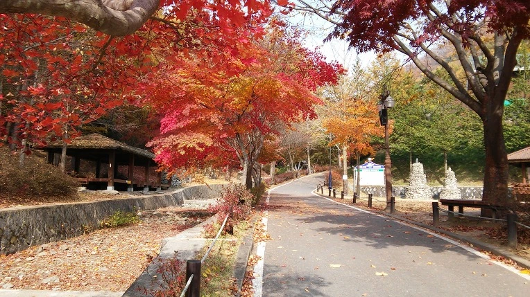 231C8E4F563C46742D81D5