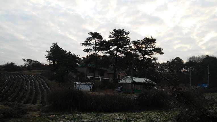 2168B04D566DDFB82EE274