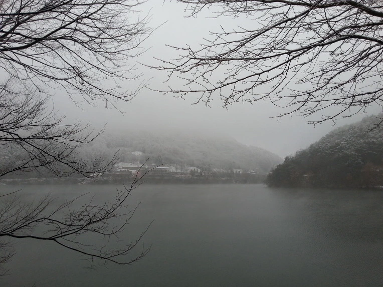 2612404A56947025382769