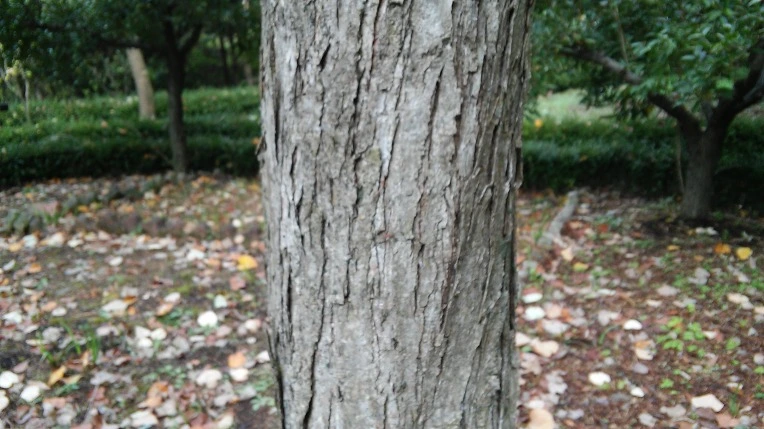 23168E36561F580B24D598