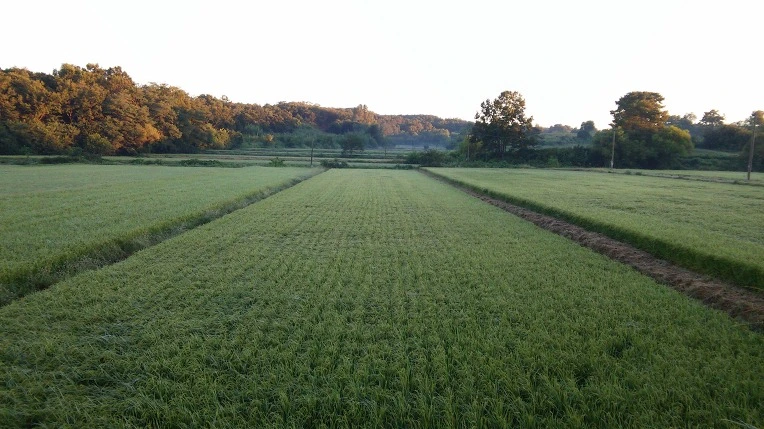 2366B44557C0C752206CAE