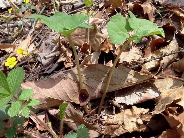 150DBB424DBFA0031CC9DB