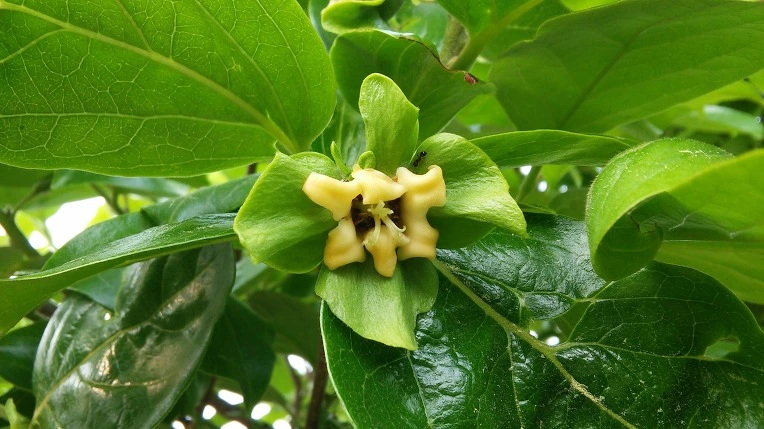 2521B03D574588461CFBD4