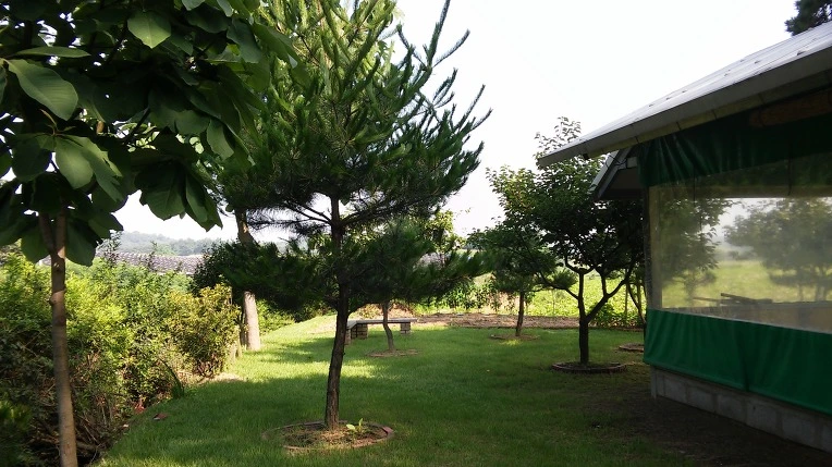 241AB23C578D955426EB42