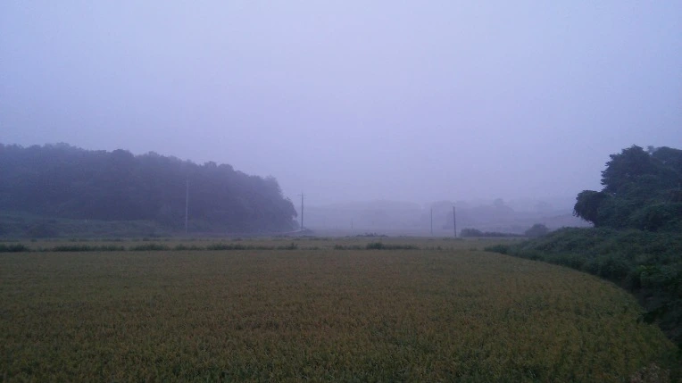 2270493757D4AE3C307CD5