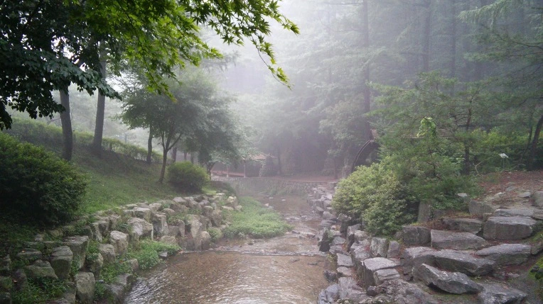 2305EF47568CF7D228D419