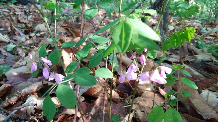 2127224A57292D25257362