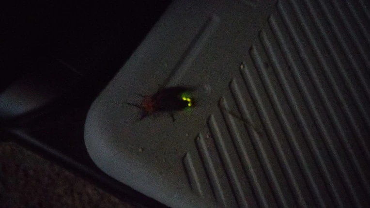 99CF6E3359CB17E62BD3A2