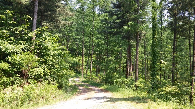 2709E23F556026C510E5B2