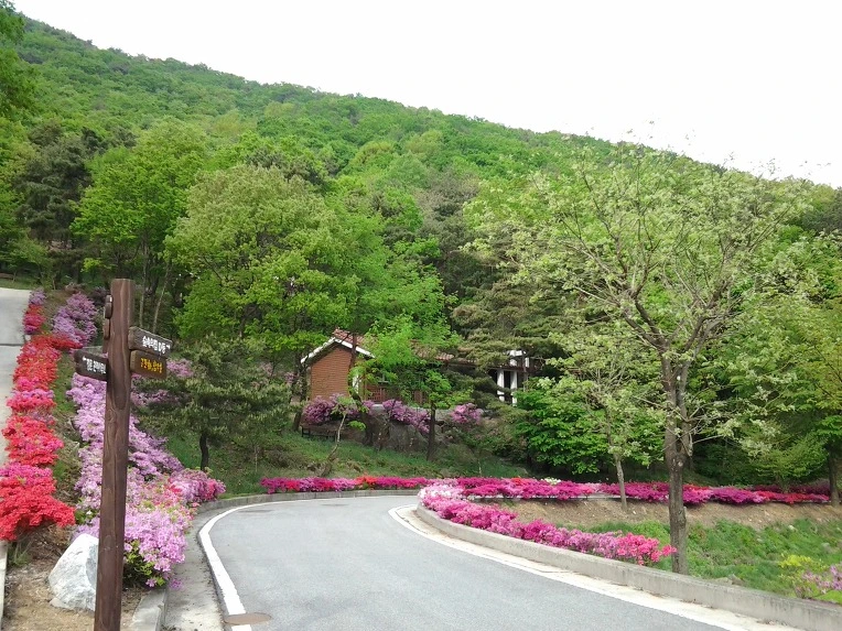 2678D63E5191DC3007E682