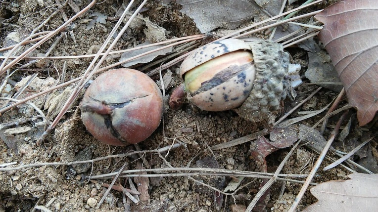 2349904654EA9EB70A58BF