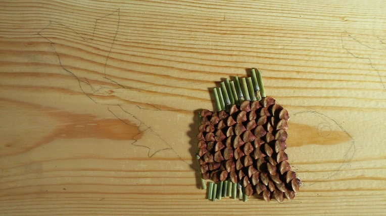 21136B49591FF467049F29