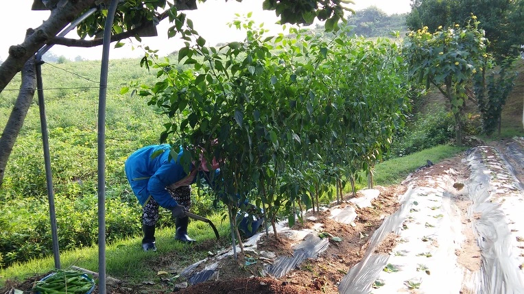 240F044457C7933907191E