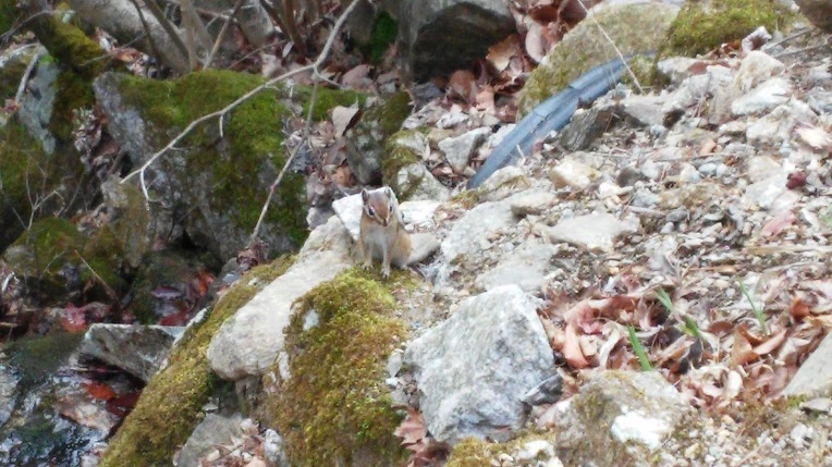 2237A53558F17599189FB8