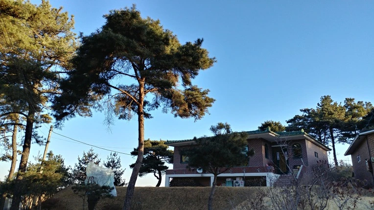 993F403E5A8AA28F16A6EB