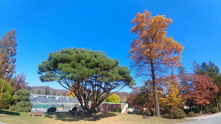 99B3423C5C275B0338D9F0