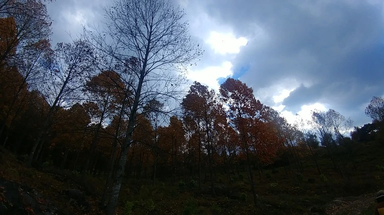 991DF13C5BD6ADE2366064