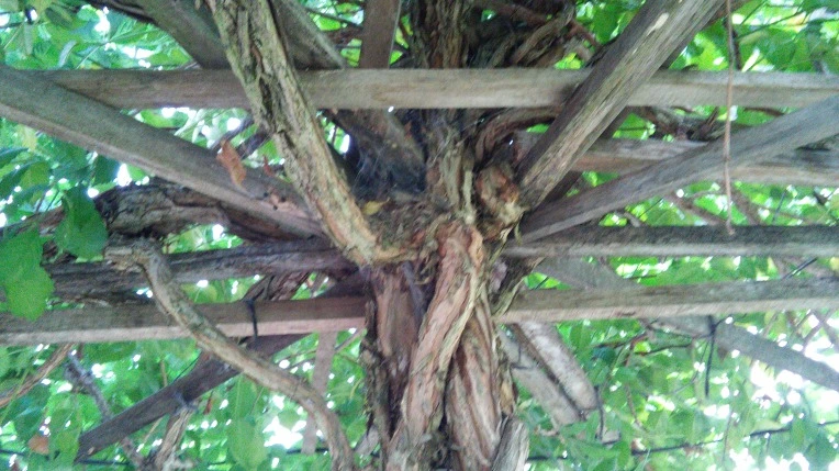 223BDE4257C7922836B0BD