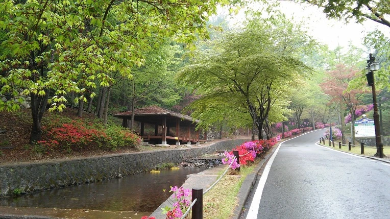 99E26D4D5CB627F608BFA1