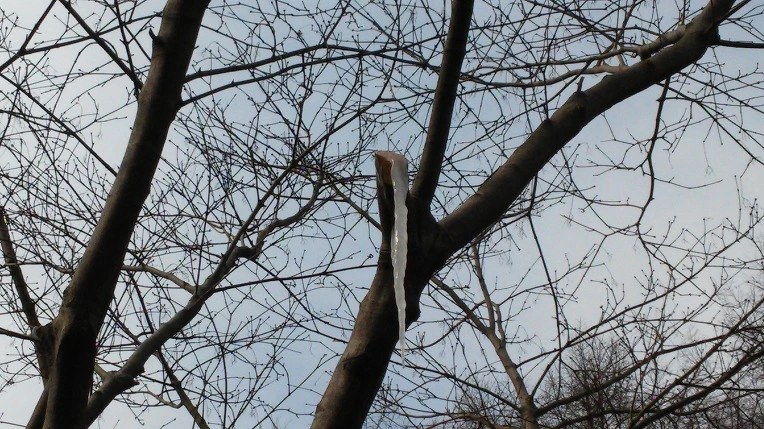 21638F3A54F80B5C18C271