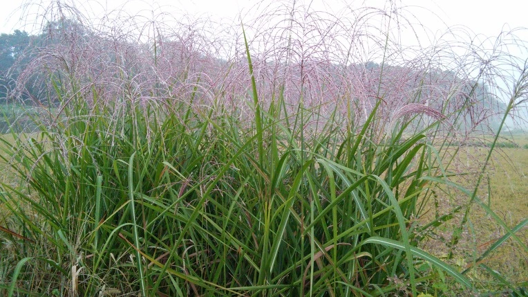 252F743357E46809289963