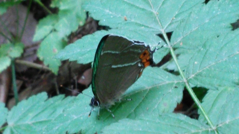 247775435699F30D2846F1