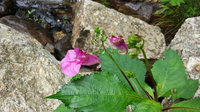 99C154335984F84B1BA51A