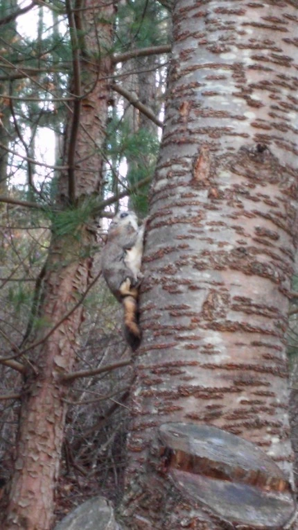 252C773B551F525B0D27A3