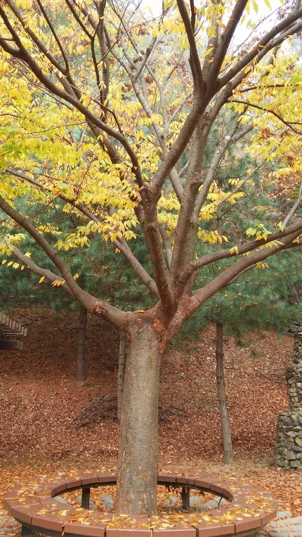 2513F9355625E56911E5F3