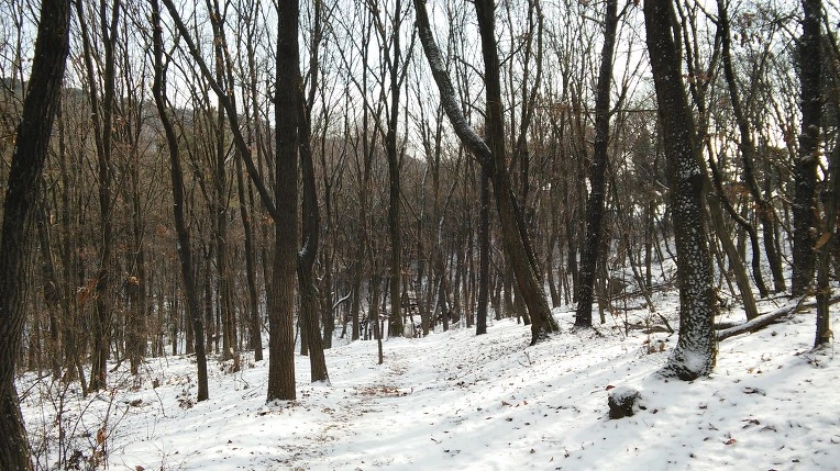 276CCA475878B23738A04E